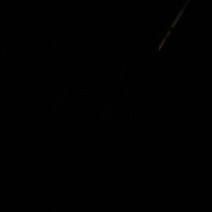 Meet your Posher, Dj